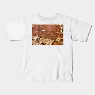 Rock Engravings, Twyfelfontein Kids T-Shirt